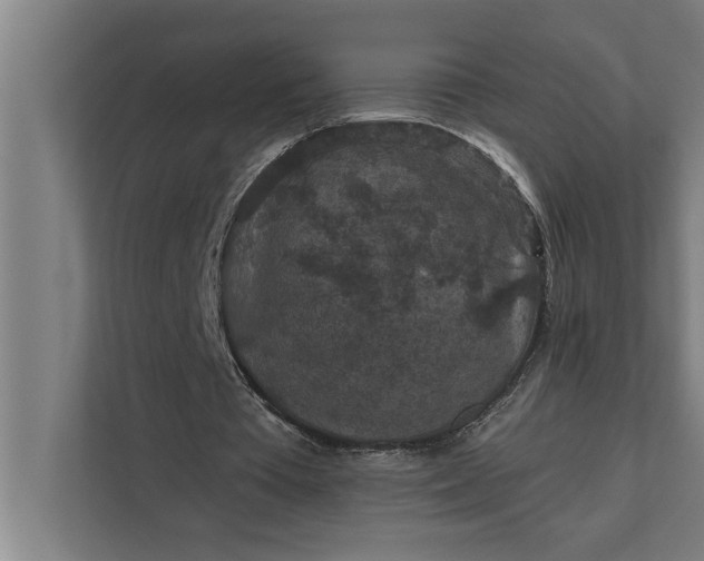 X0000112350385200908271237