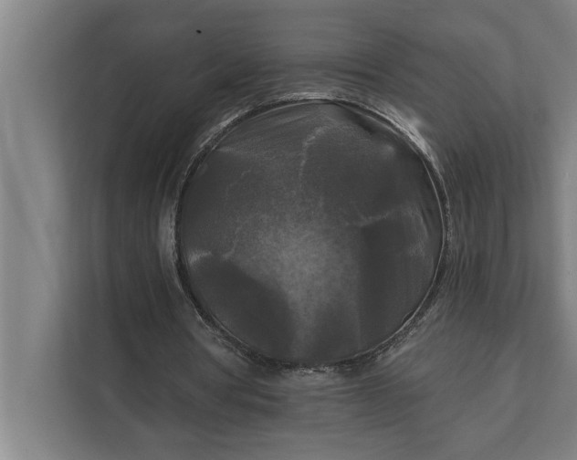 X0000112350386200908271237