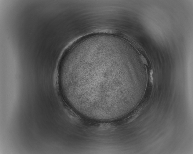 X0000112350388200908271237