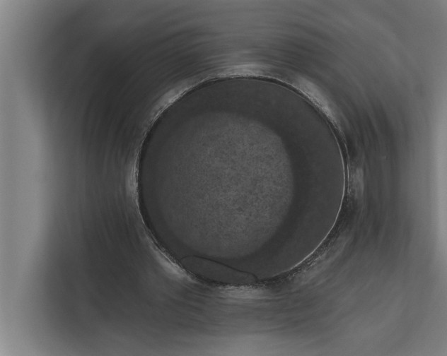 X0000112350389200908271237