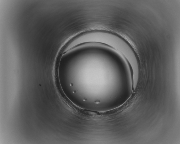 X0000112350391200908271237