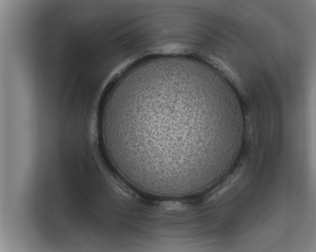 X0000112350392200908271237