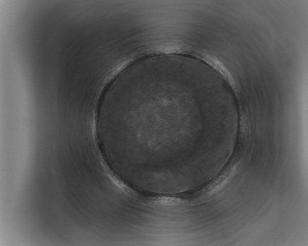 X0000112350393200908271237