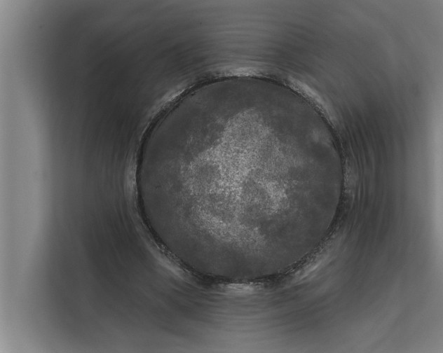 X0000112350394200908271237