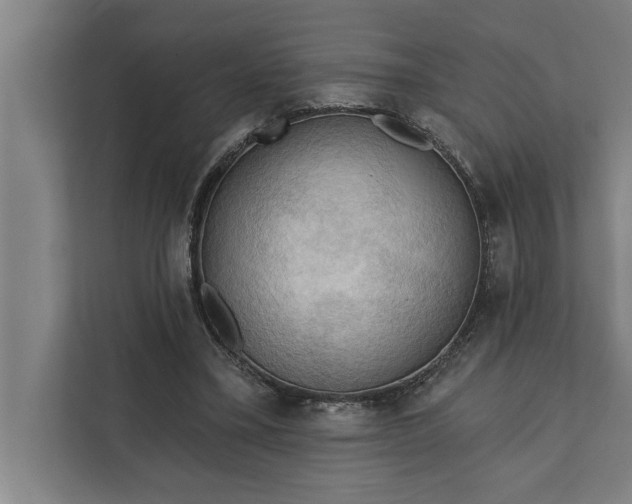 X0000112350395200908271237