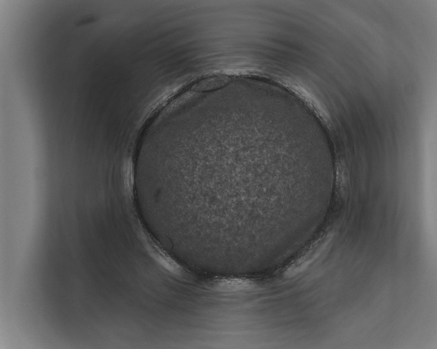 X0000112350397200908271237