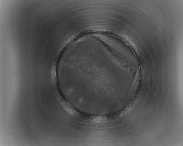 X0000112350398200908271237