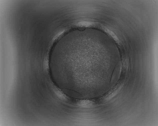 X0000112350399200908271237