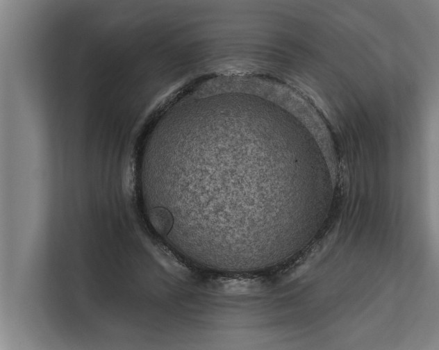 X0000112350400200908271237