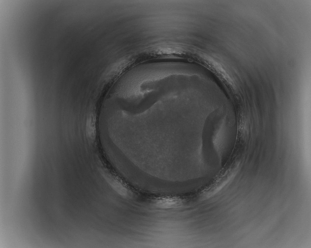 X0000112350402200908271237