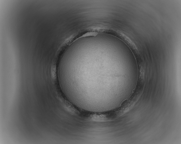 X0000112350403200908271237