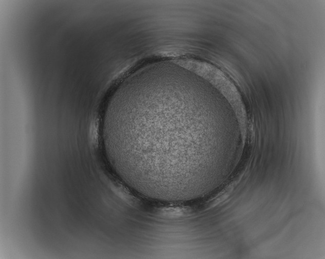 X0000112350404200908271237