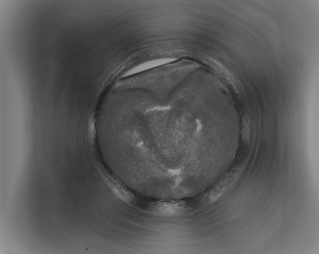 X0000112350405200908271237