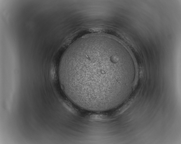 X0000112350408200908271237