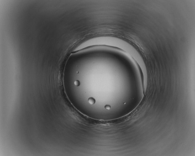 X0000112350411200908271237