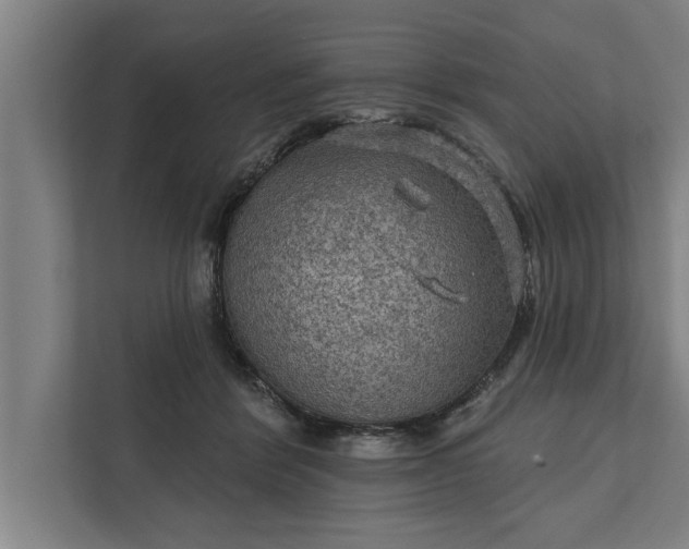 X0000112350412200908271237