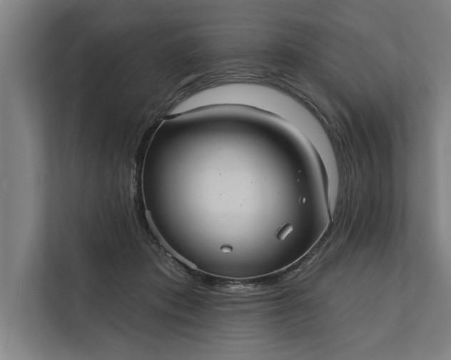 X0000112350413200908271237