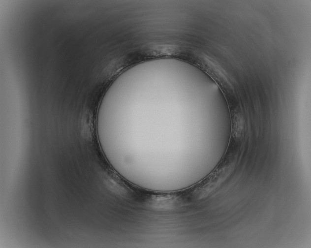 X0000112350414200908271237