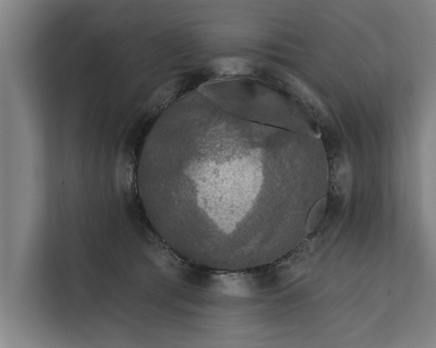 X0000112350417200908271237