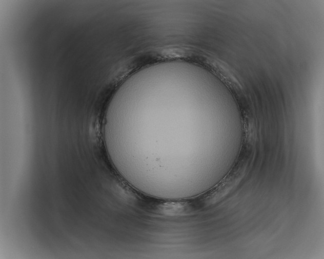 X0000112350418200908271237