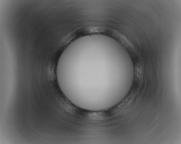 X0000112350422200908271237