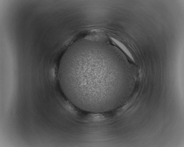 X0000112350424200908271237