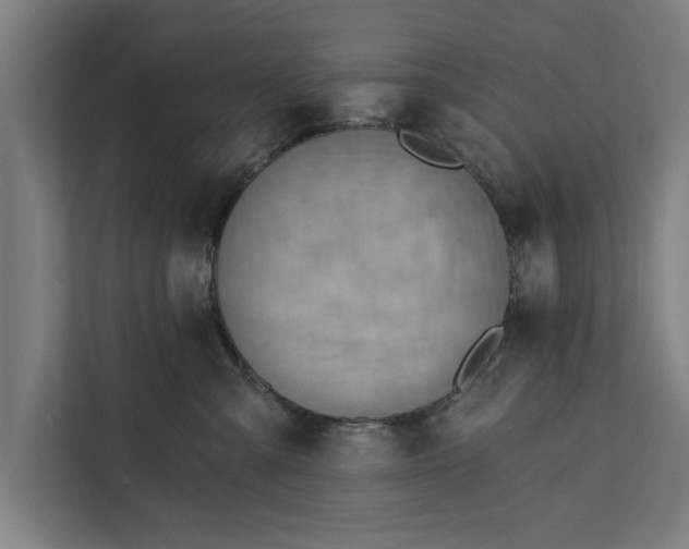 X0000112350427200908271237