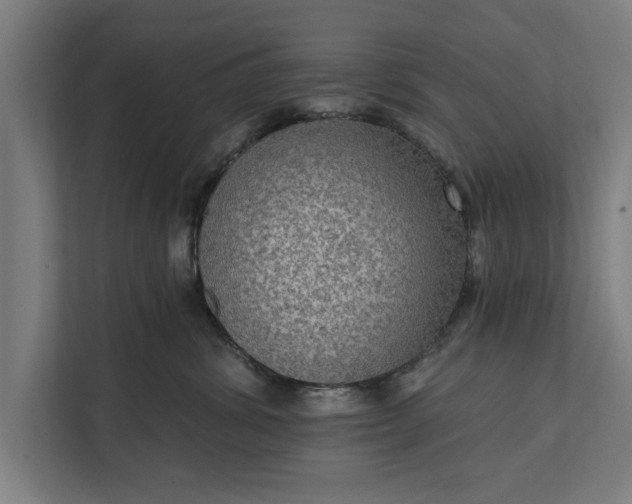 X0000112350428200908271237