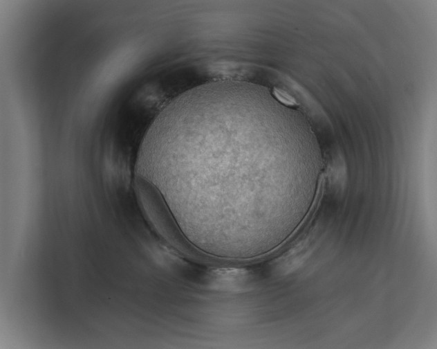 X0000112350429200908271237