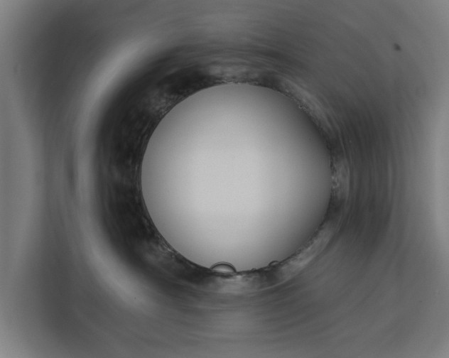 X0000112350430200908271237