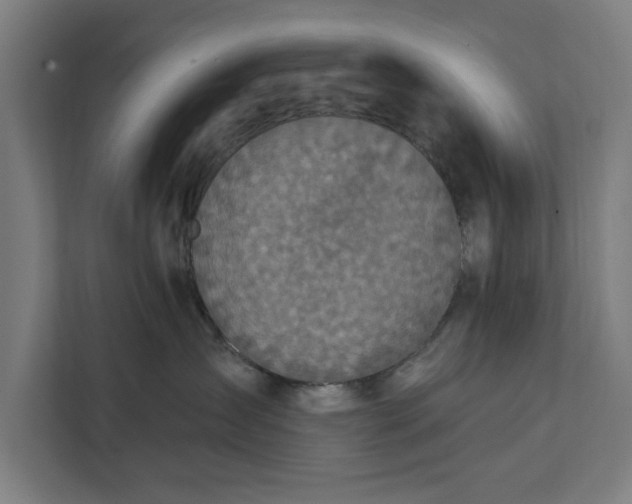 X0000112350431200908271236