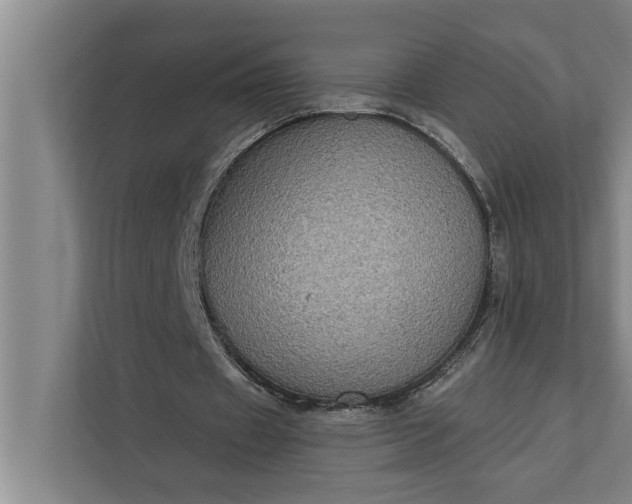 X0000112350433200908271236