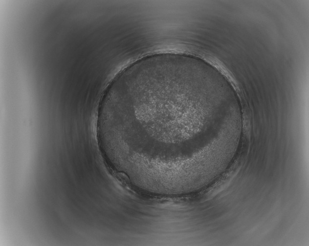 X0000112350434200908271236