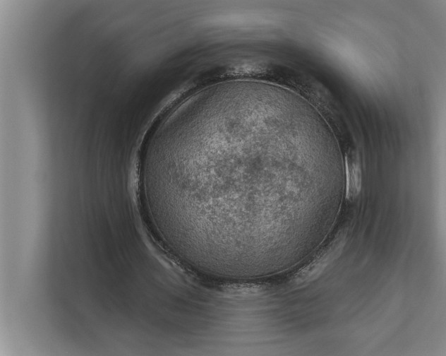 X0000112350435200908271236