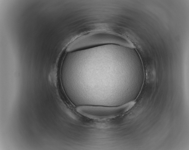 X0000112350436200908271236