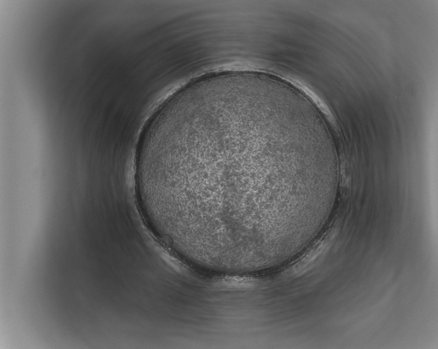 X0000112350437200908271236