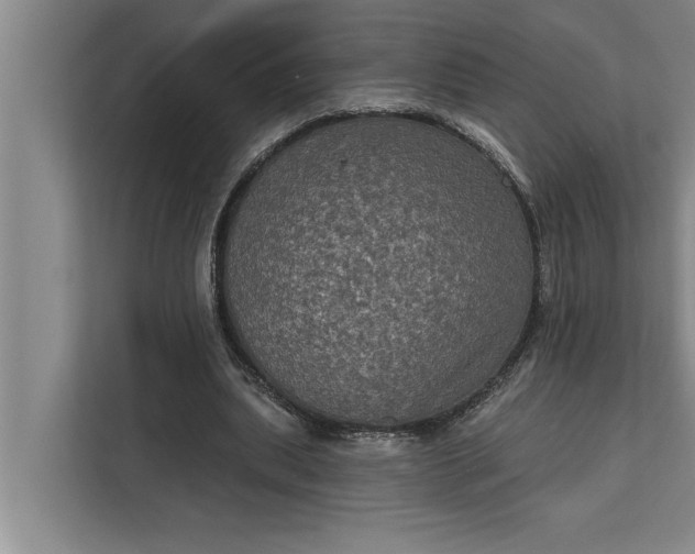 X0000112350439200908271236