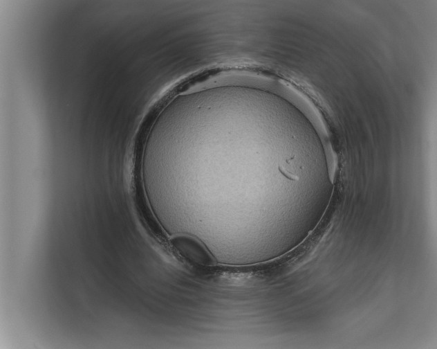 X0000112350440200908271236