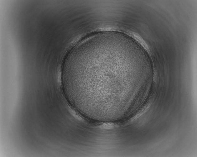 X0000112350441200908271236