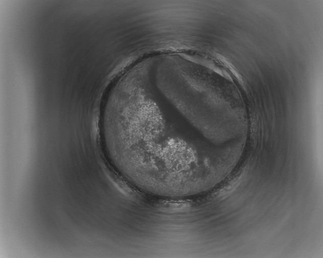 X0000112350443200908271236