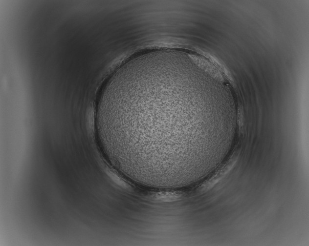 X0000112350445200908271236