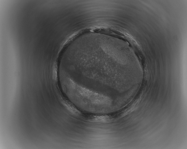 X0000112350446200908271236