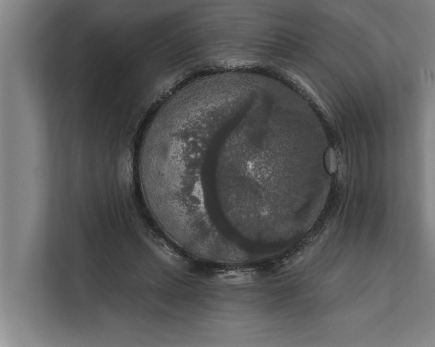 X0000112350447200908271236