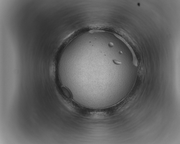 X0000112350448200908271236