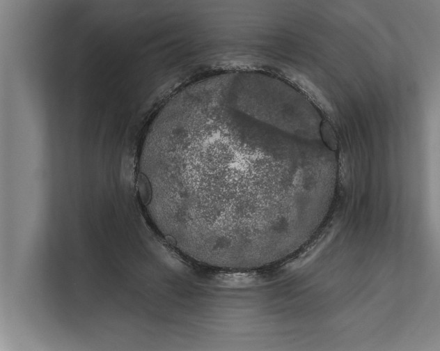 X0000112350449200908271236