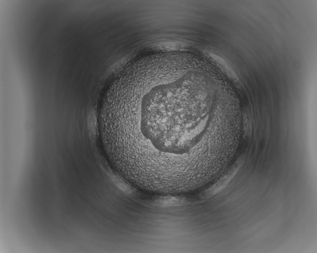 X0000112350453200908271236