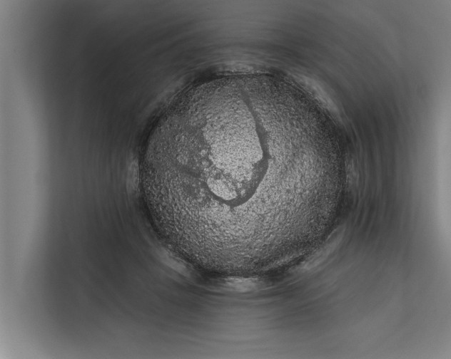 X0000112350457200908271236