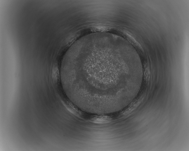 X0000112350459200908271236