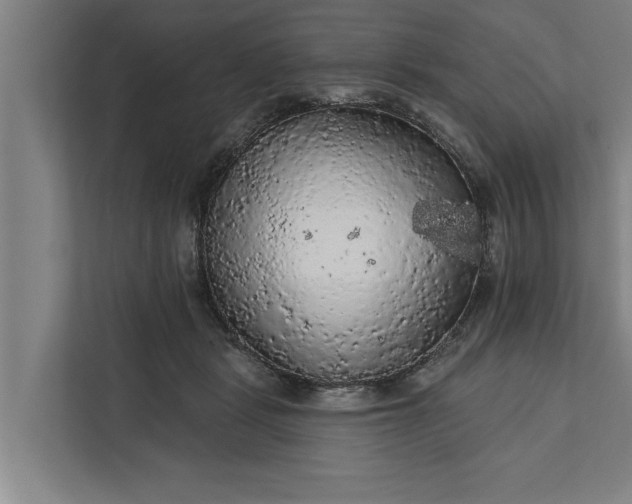 X0000112350461200908271236