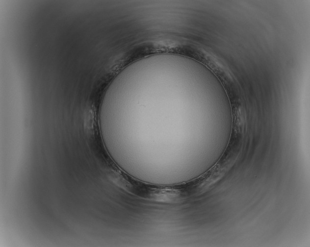 X0000112350463200908271236